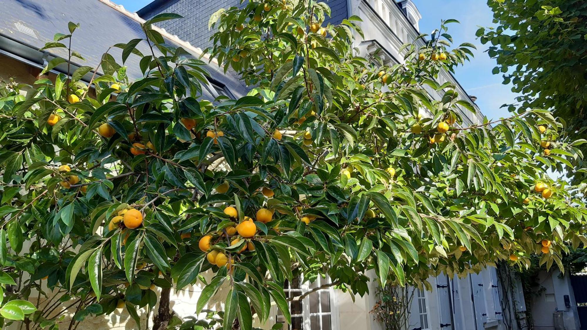 טור La Heraudiere Bed & Breakfast מראה חיצוני תמונה